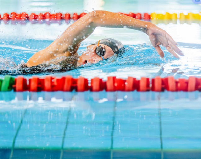 AAONӾ�س�ʪ������